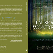 Pause in Wonder