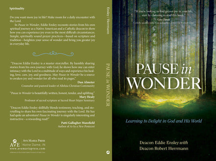 Pause in Wonder