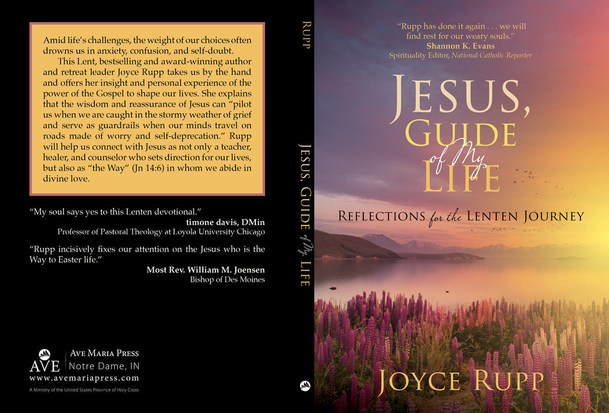 Jesus, Guide of My Life