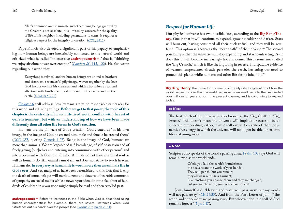Catholic Morality: Finding Truth in God’s Law (Student Text)