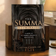 The Summa Illuminated