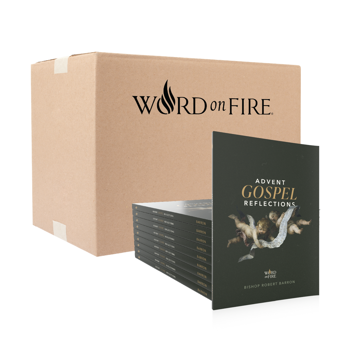 Advent Gospel Reflections 2026