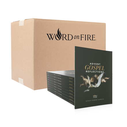 Advent Gospel Reflections 2026