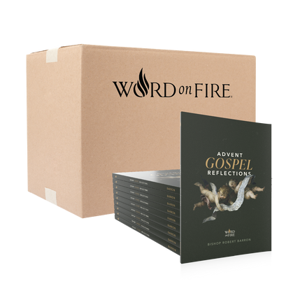 Advent Gospel Reflections 2026