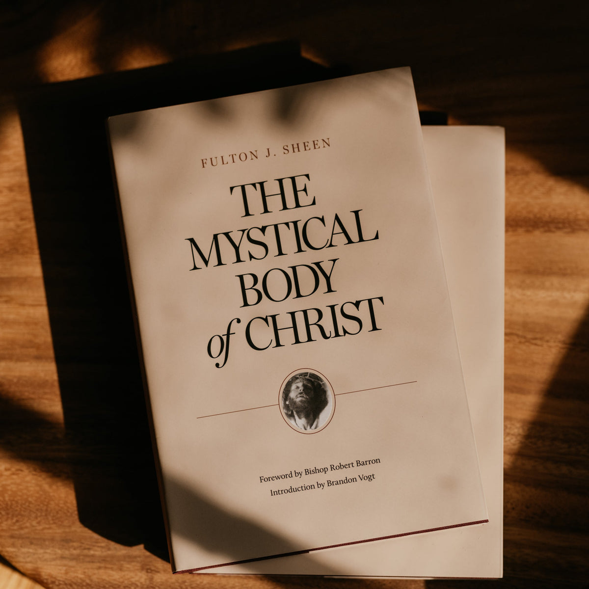 The Mystical Body of Christ