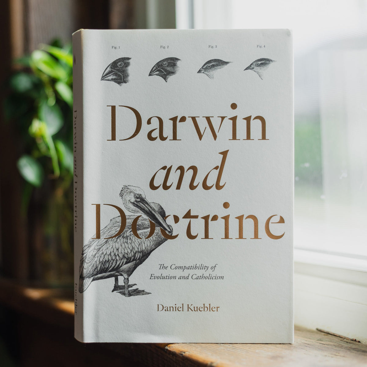 Darwin and Doctrine