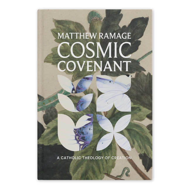 Cosmic Covenant: A Catholic Theology of Creation