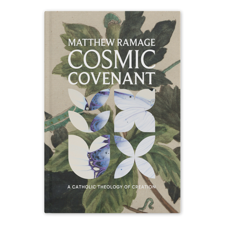 Cosmic Covenant: A Catholic Theology of Creation