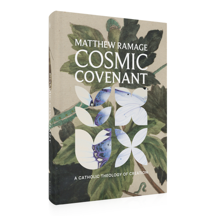 Cosmic Covenant: A Catholic Theology of Creation