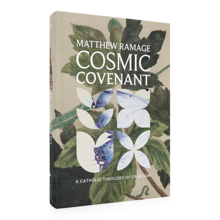 Cosmic Covenant: A Catholic Theology of Creation
