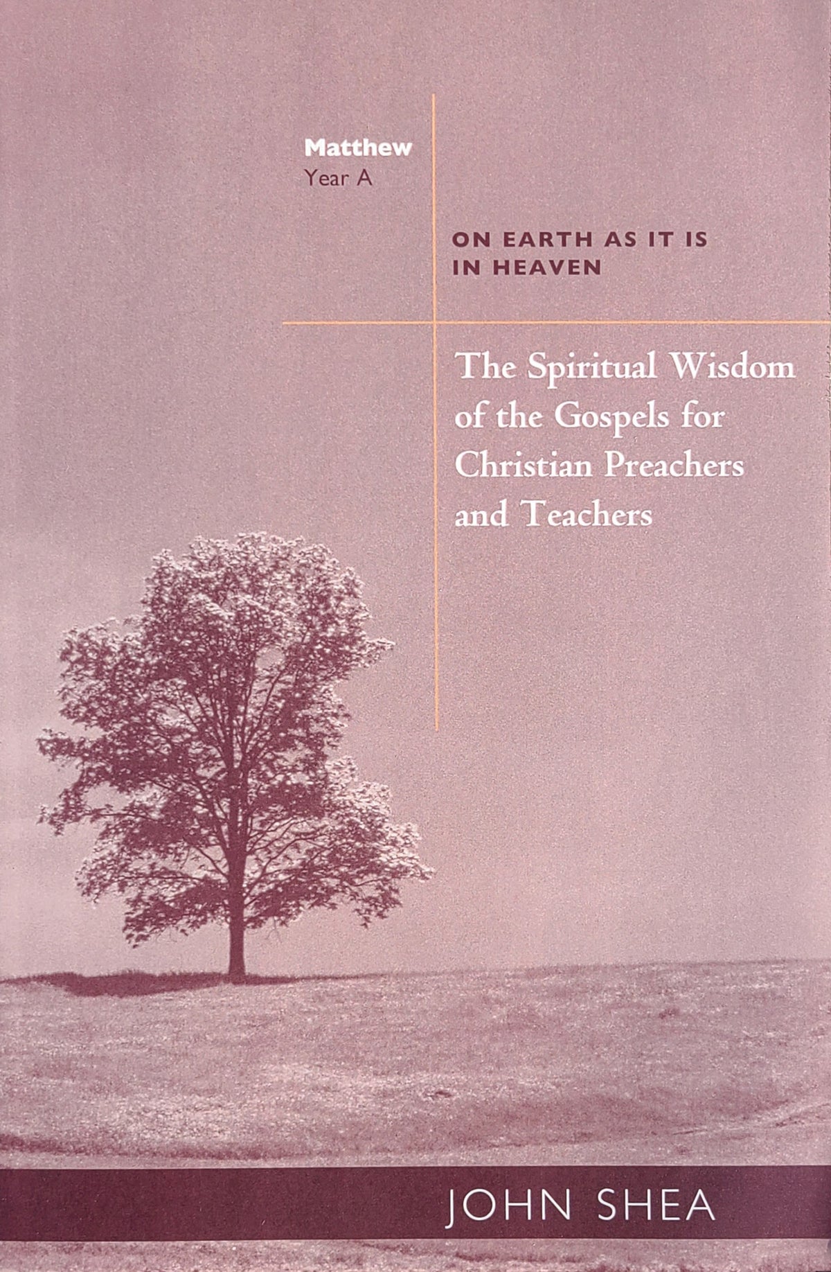 The Spiritual Wisdom of the Gospels for Christian Preachers and Teachers, Year A