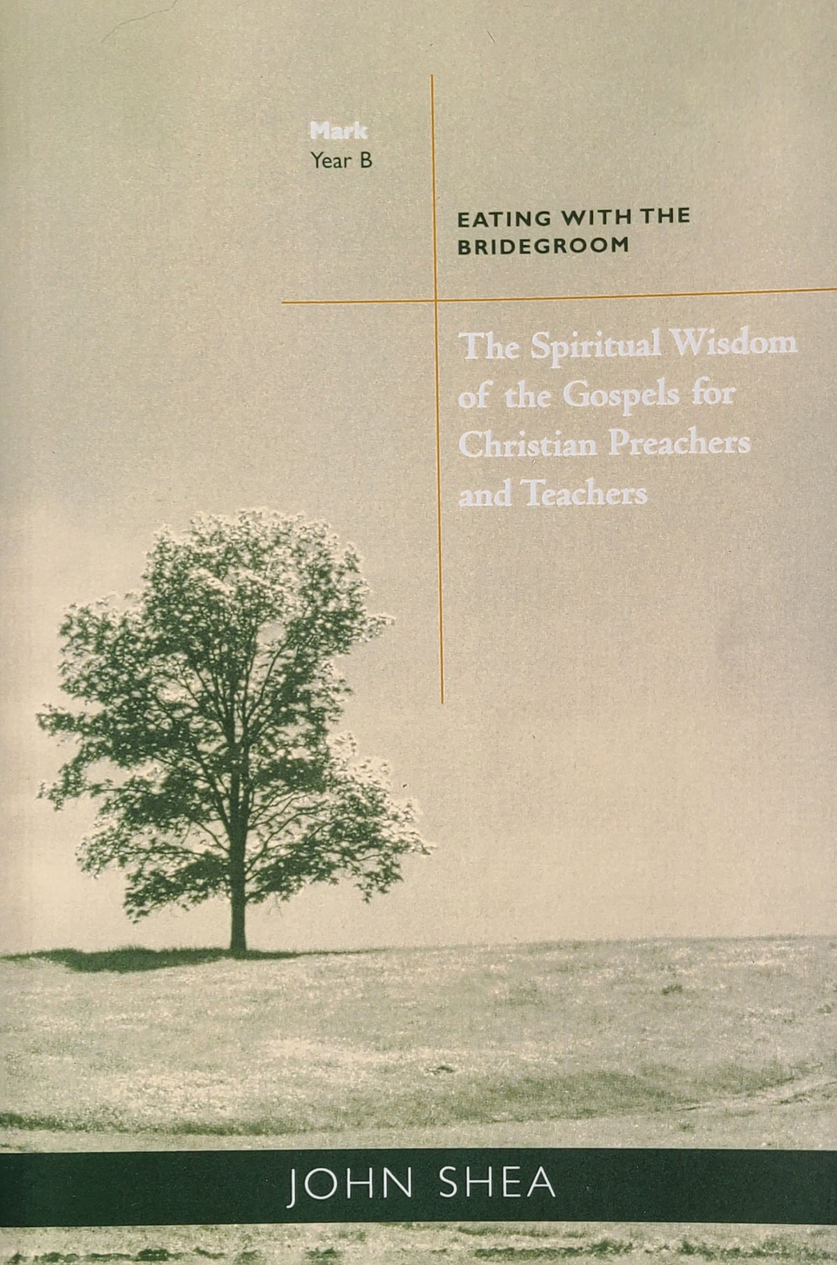The Spiritual Wisdom of the Gospels for Christian Preachers and Teachers, Year B