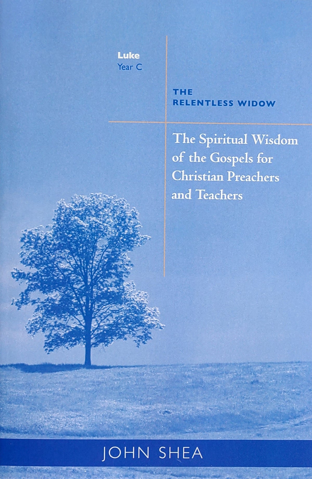 The Spiritual Wisdom of the Gospels for Christian Preachers and Teachers, Year C