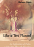 Like a Tree Planted