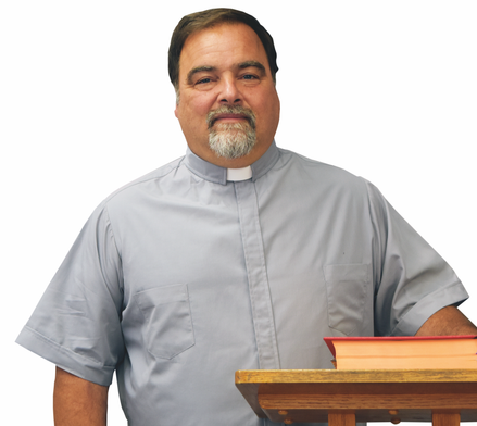 Plain Long Sleeve Grey Clergy Shirt - 8932