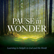 Pause in Wonder