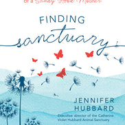 Finding Sanctuary