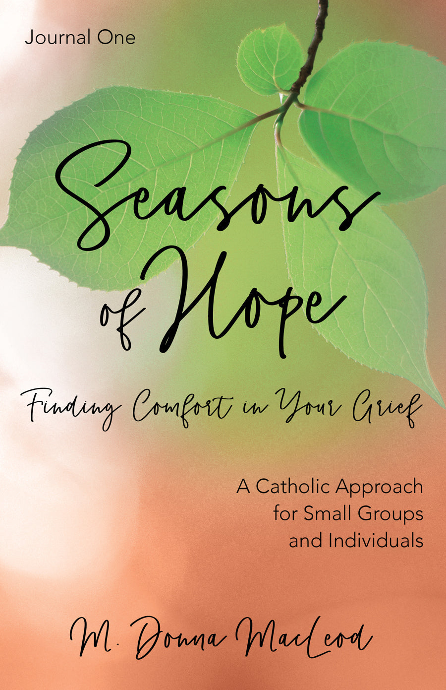 Seasons of Hope Facilitator Pack