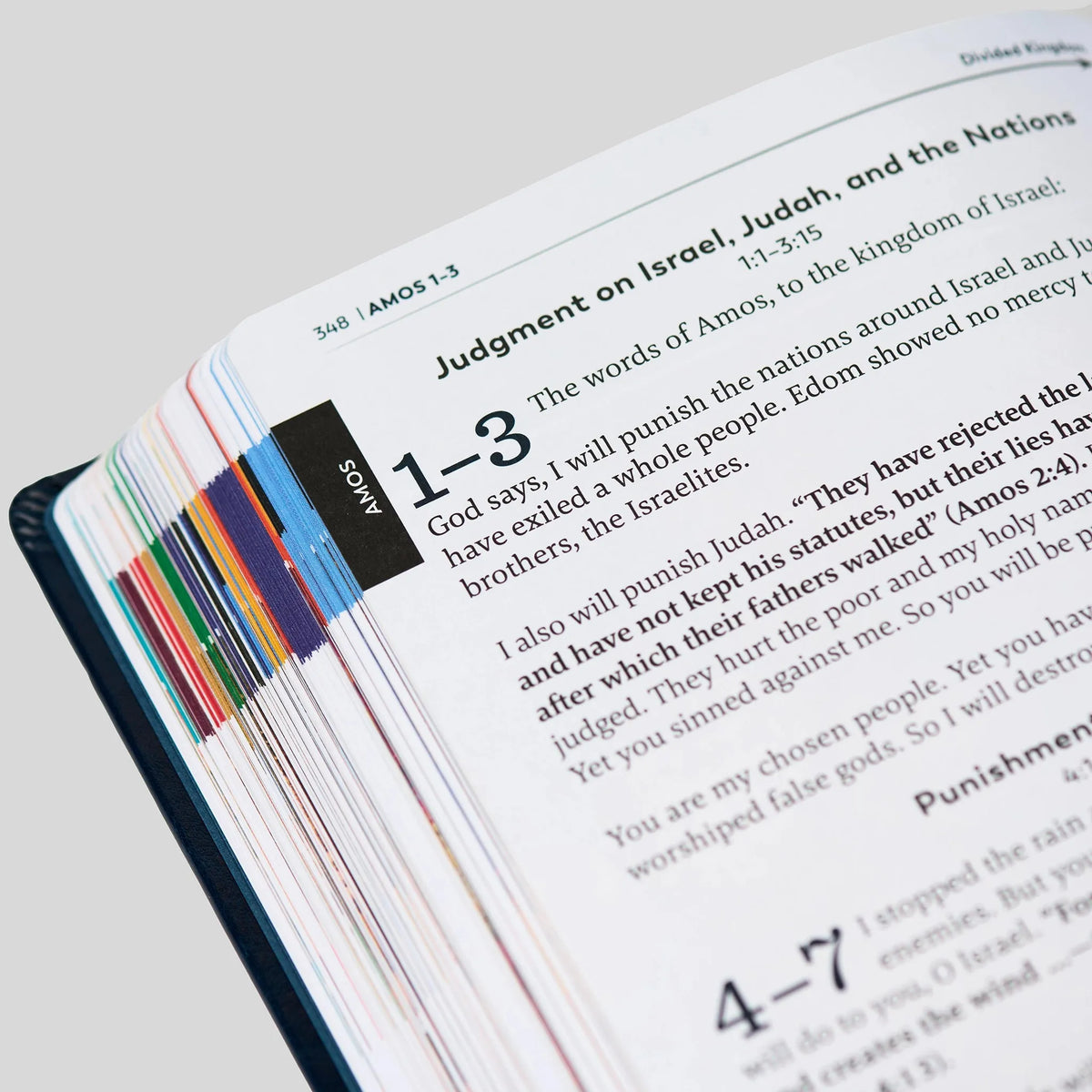 The Great Adventure Catholic Bible for Young Beginners, Classroom Edition