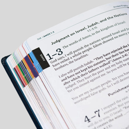 The Great Adventure Catholic Bible for Young Beginners, Classroom Edition