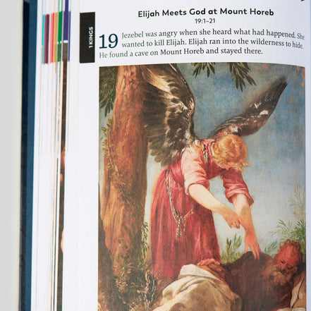 The Great Adventure Catholic Bible for Young Beginners, Classroom Edition