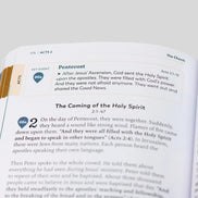 The Great Adventure Catholic Bible for Young Beginners, Classroom Edition