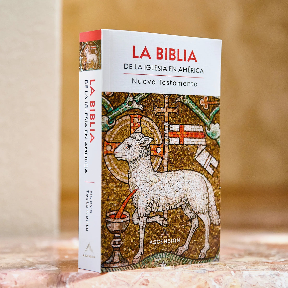 La Biblia de la Iglesia en América: Nuevo Testamento