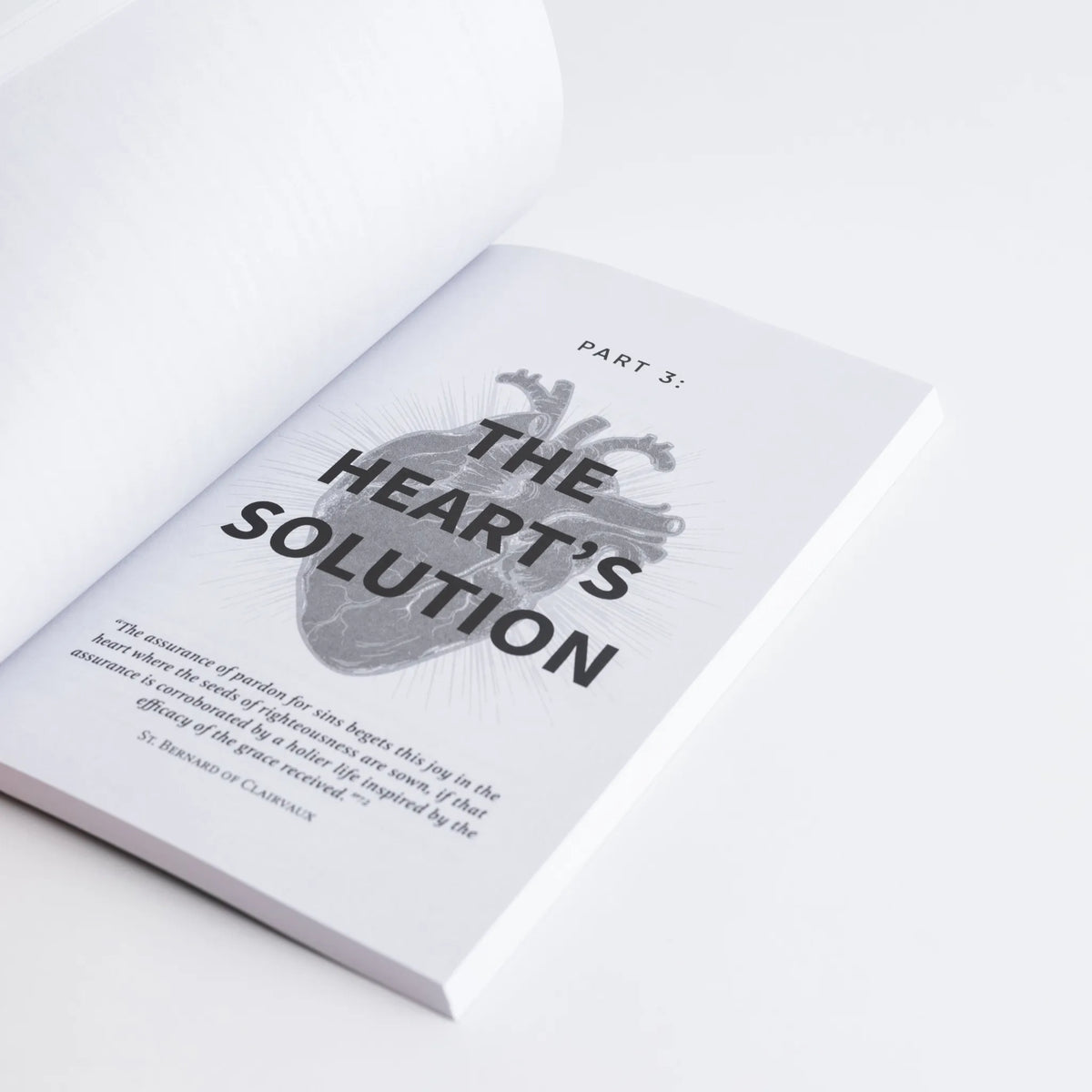 All Your Heart: How to Live for Christ Without Holding Back