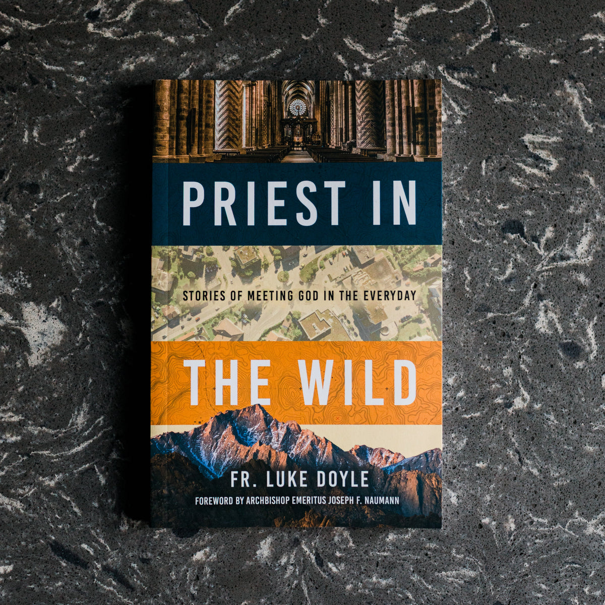 Priest in the Wild: Stories of Meeting God in the Everyday