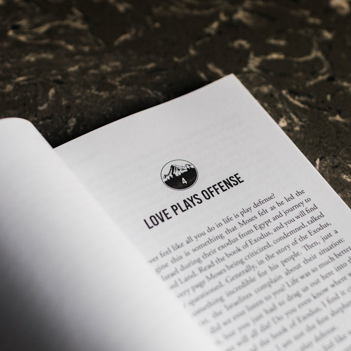 Priest in the Wild: Stories of Meeting God in the Everyday
