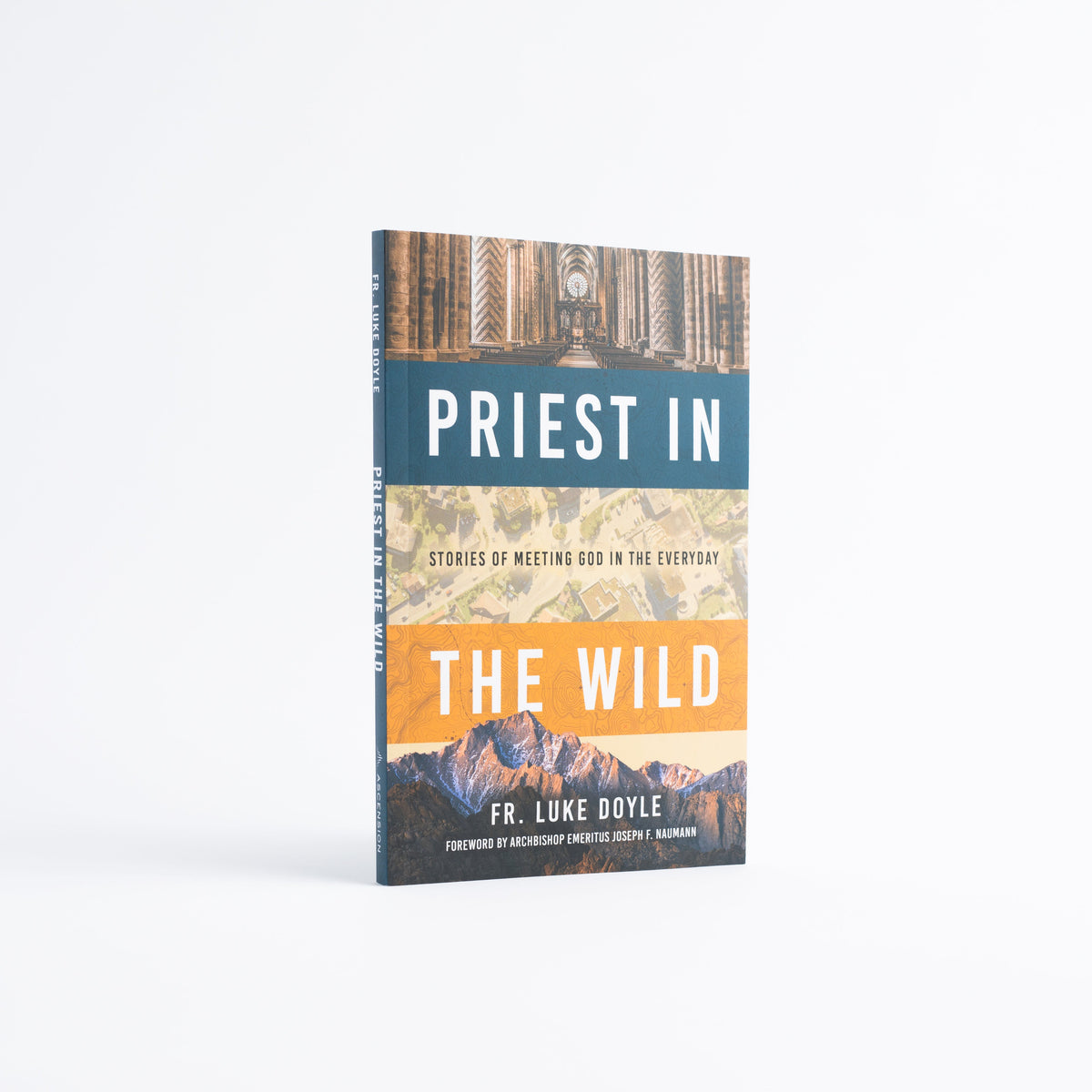 Priest in the Wild: Stories of Meeting God in the Everyday