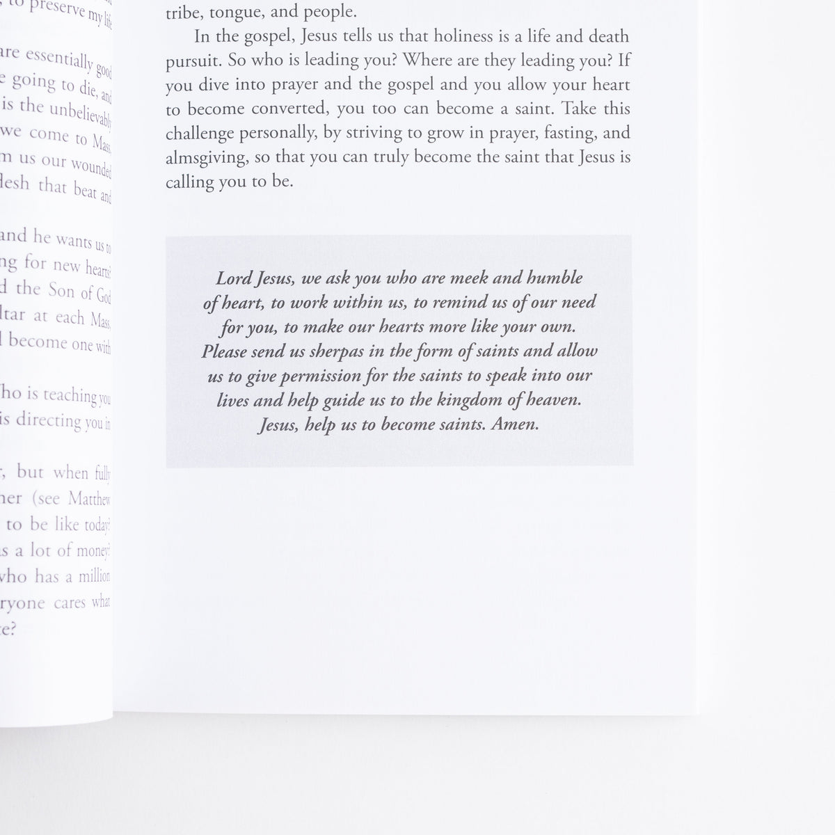 Priest in the Wild: Stories of Meeting God in the Everyday
