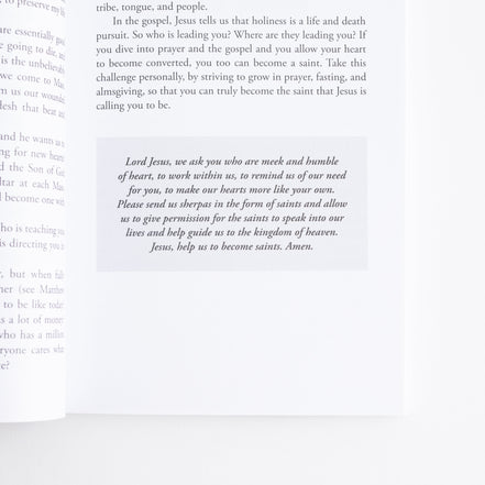 Priest in the Wild: Stories of Meeting God in the Everyday