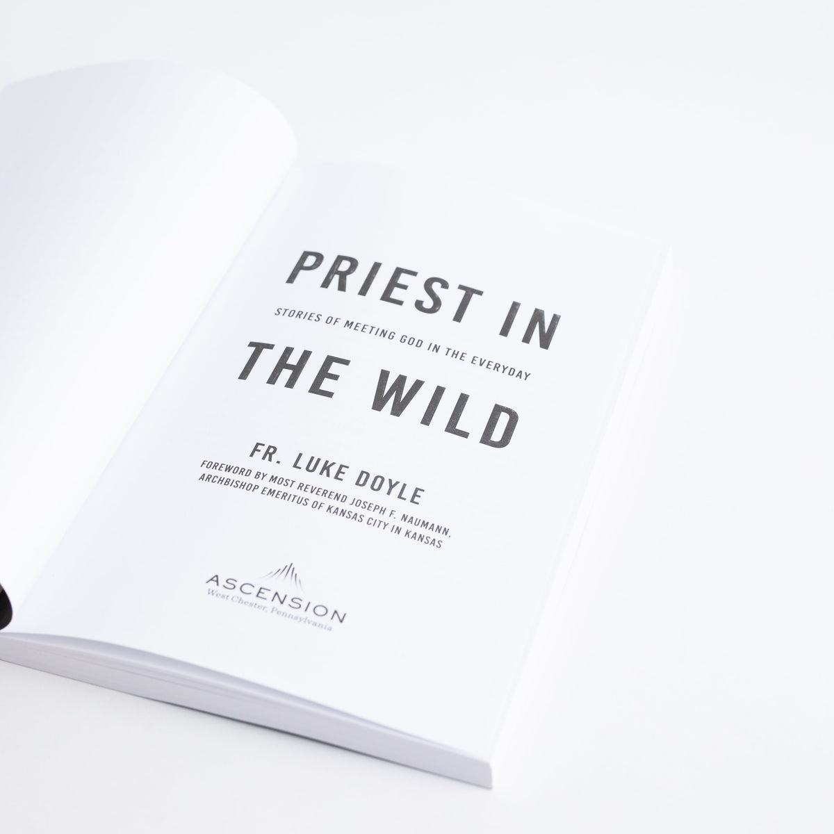 Priest in the Wild: Stories of Meeting God in the Everyday