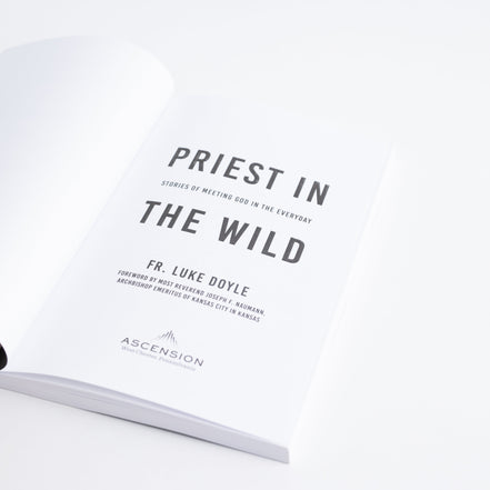 Priest in the Wild: Stories of Meeting God in the Everyday