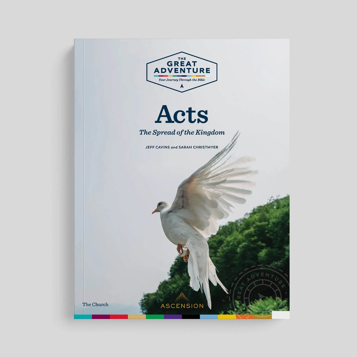 Acts: The Spread of the Kingdom, Workbook