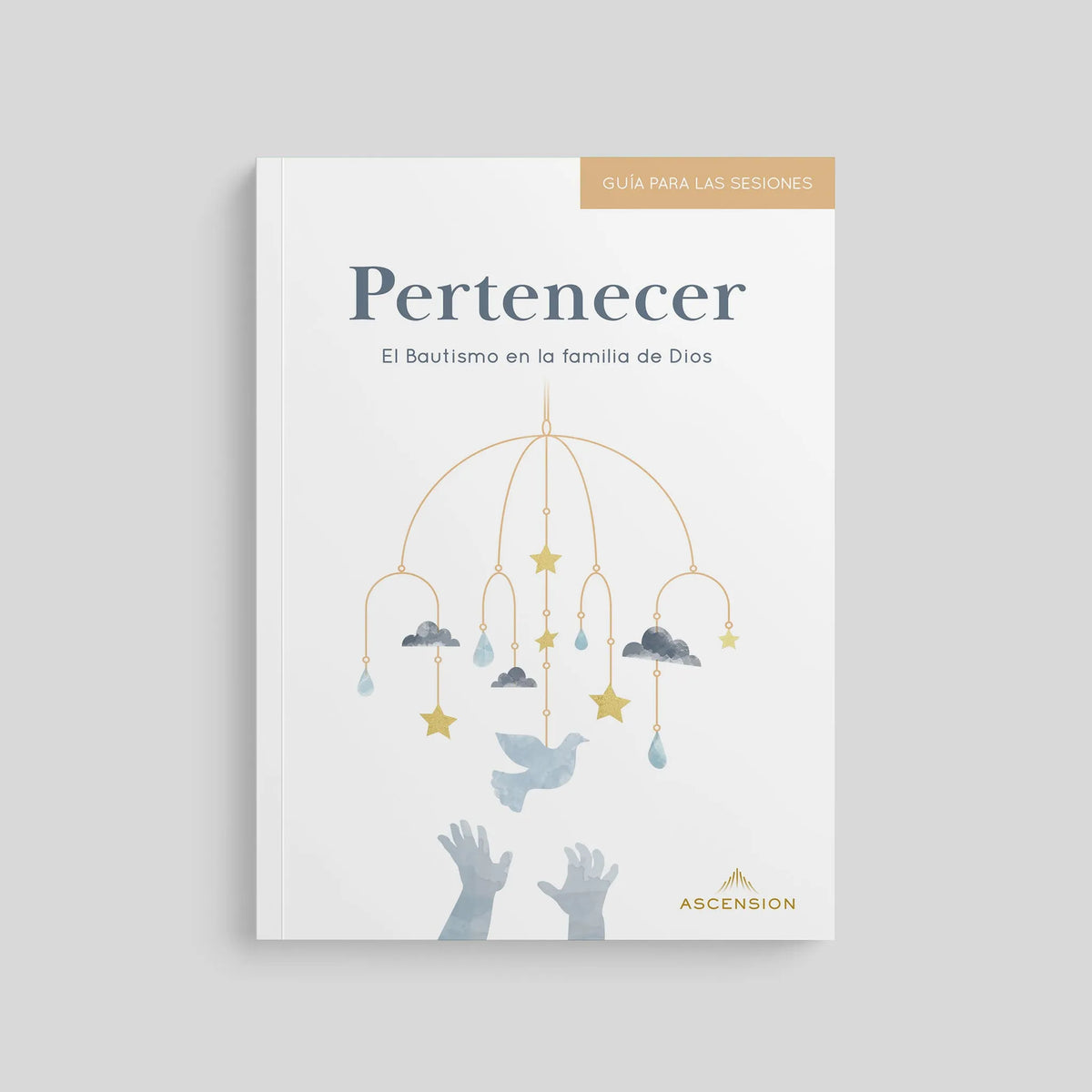 Belonging: Baptism in the Family of God, Session Guide
