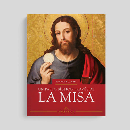 Un paseo bíblico a través de la Misa, Libro de Trabajo