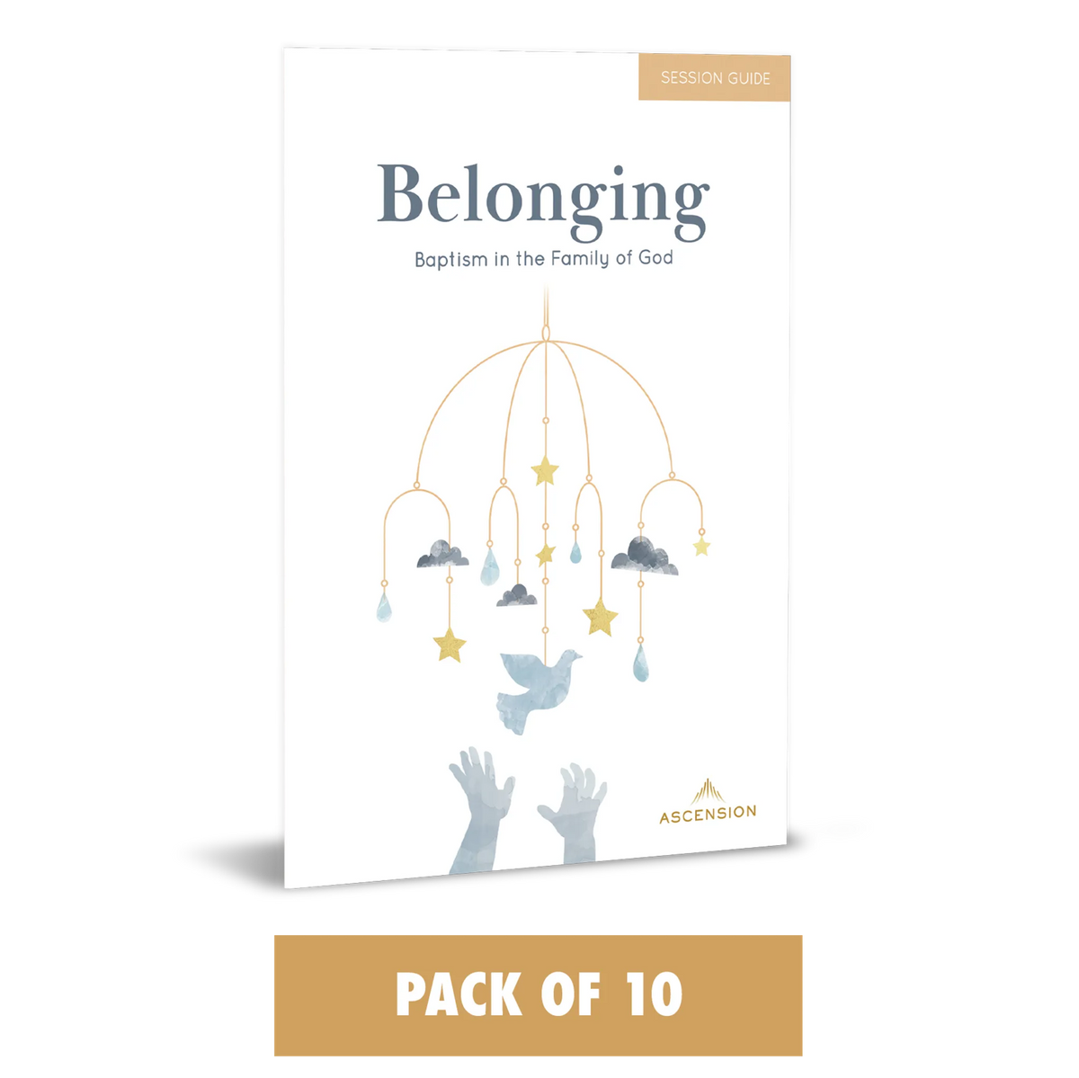 Belonging: Baptism in the Family of God, Session Guide