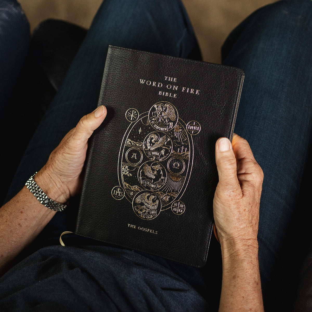 The Word on Fire Bible (Volume I): The Gospels