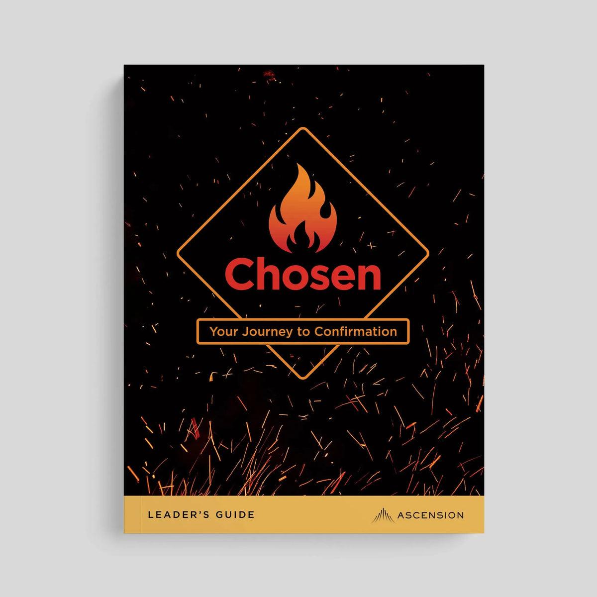 Chosen: Your Journey to Confirmation, Leader’s Guide