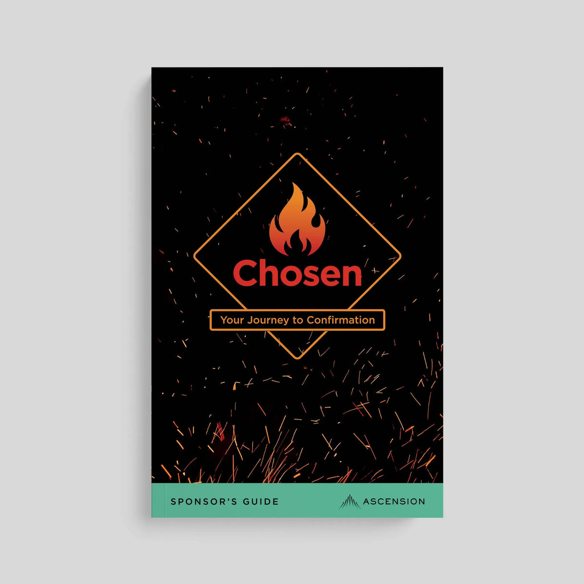 Chosen: Your Journey to Confirmation, Sponsor’s Guide