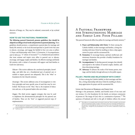 Called to the Joy of Love: A National Pastoral Framework for Marriage and Family Life Ministry