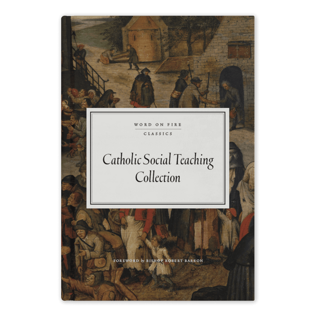 Catholic Social Teaching Collection