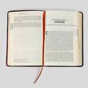 La Biblia de la Iglesia en América: Nuevo Testamento
