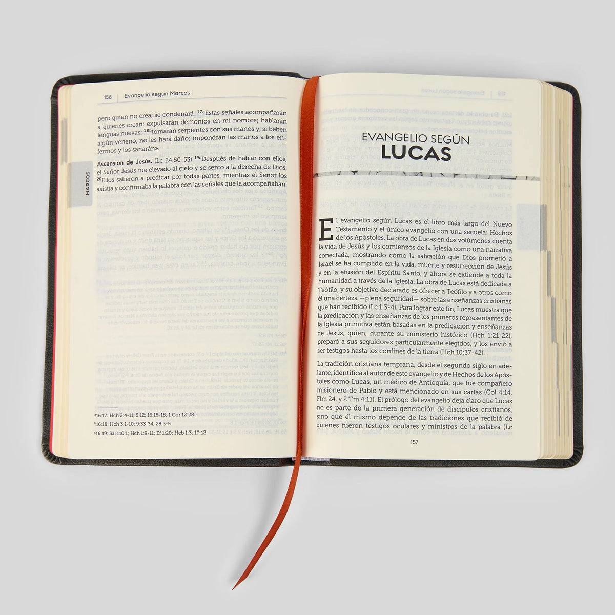 La Biblia de la Iglesia en América: Nuevo Testamento