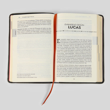 La Biblia de la Iglesia en América: Nuevo Testamento