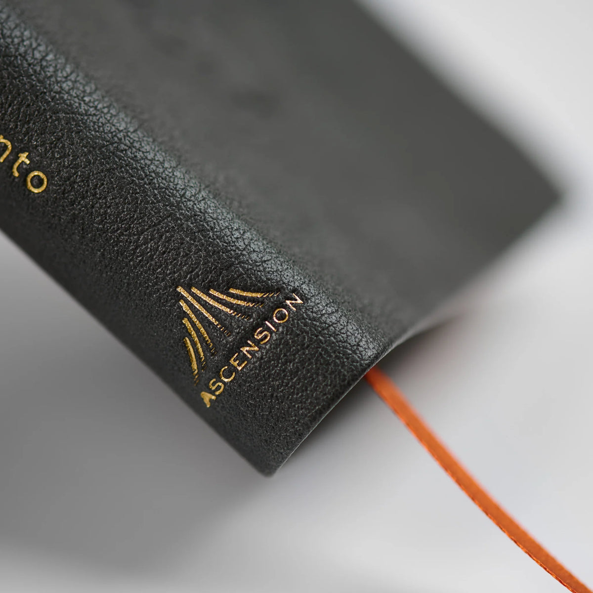 La Biblia de la Iglesia en América: Nuevo Testamento