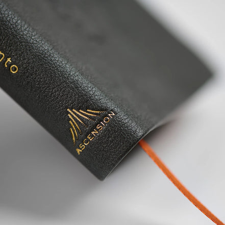 La Biblia de la Iglesia en América: Nuevo Testamento