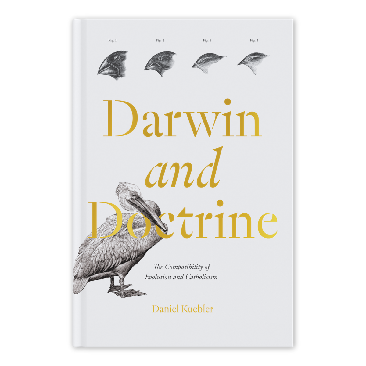 Darwin and Doctrine